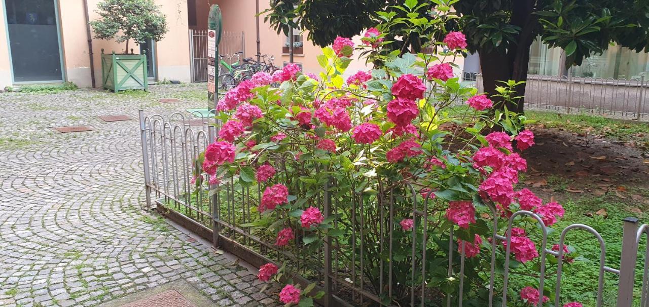 Central Loft Carina Ideale Per Visitare Il Centro Di Torino Eksteriør bilde